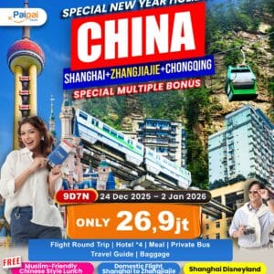 SPECIAL NEW YEAR HOLIDAY BEAUTY OF CHINA SHANGHAI + ZHANGJIAJIE + CHONGQING MULTIPLE BONUS SHANGHAI DISNEYLAND + DOMESTIC FLIGHT SHANGHAI TO ZHANGJIAJIE + MT. TIANZI CABLE CAR + TIANMENSHAN SCENIC SPOT + FAIRY MOUNTAIN SMALL TRAIN 24 Dec - 2 Jan '26