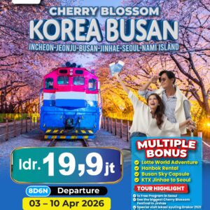 BEAUTIFUL KOREA CHERRY BLOSSOM BONUS LOTTE WORLD ADVENTURE + HANBOK RENTAL + BUSAN SKY CAPSULE + KTX JINHAE TO SEOUL 3-10 Apr '26